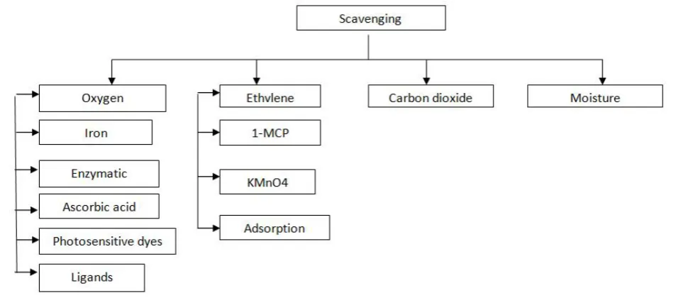 Fig. 3. Different scavenging systems used in active packaging