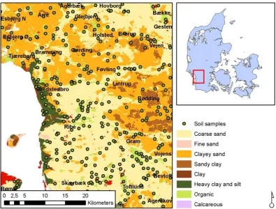 Fig. 1. Soil map of the study area within Denmark (Madsen et al., 1992).