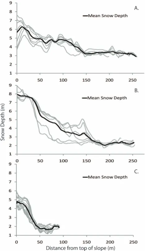 Fig. 8. Proﬁles of snow depth accumulation (A) lower talus, 2008,(B) lower talus, 2009, (C) upper talus, 2008