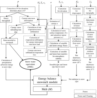 Fig. 1. Schematic outlining the major mass and energy calculations involved in the forest component of the Cold Regions HydrologicalModel (CRHM).