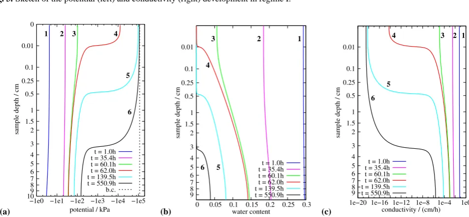 Fig. 3. Sketch of the potential (left) and conductivity (right) development in regime I.