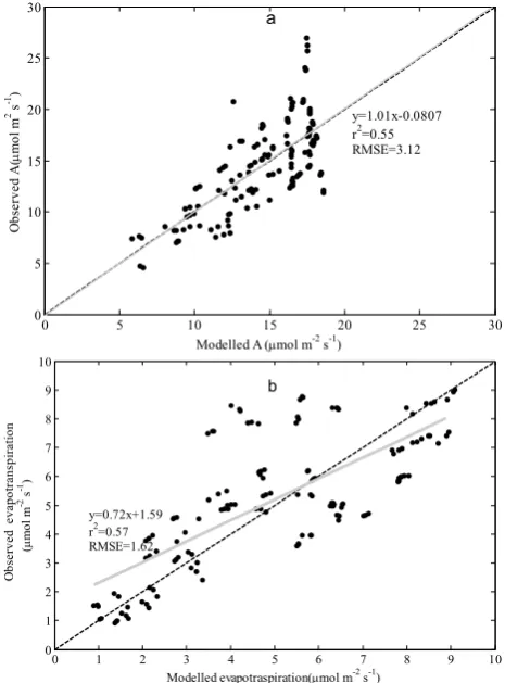 Fig. 7. Linear regression of (Modelled evapotraspiration(a) predicted A on measured A; (μmol m s)b) predicted 