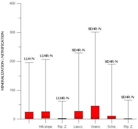 Figure 6. Simulated Mineralization:Nitrification ratio (M:N) variation according to the 