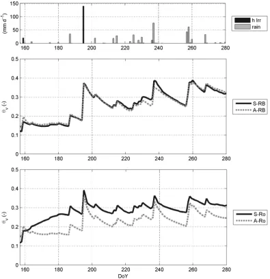 Fig. 7. Water inputs and average soil water content in the root zone simulated by SWAP and ALHyMUS with the Rawls and Brakensiek(RB) and Rosetta (Ro) parameter sets