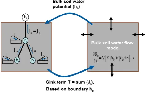 Fig. 1. Concept of coupling microscale radial ﬂow to bulk ﬂowincluding xylem potentials for a bulk soil volume �ijk.