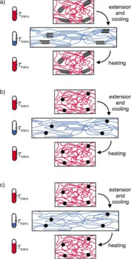 Figure 5. Schematic representation of the molecular mechanism of the thermally induced shape-memory effect for a) a multiblock copolymer with T trans  T m , b) a covalently cross-linked polymer with T trans  T m , and c) a polymer network with T trans  