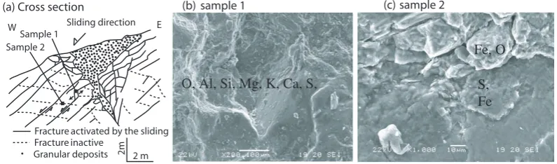 Fig. 2. Localization and observations of fracture walls:fracture dipping towards West (a) Localization of fractures in a cross-section with sliding displacements along (b) electronic microscope and micro-probe results in an active (dipping west, sample 1) fracture and (c) in aninactive (dipping Est, sample 2) fracture covered with a thin ferric layer.