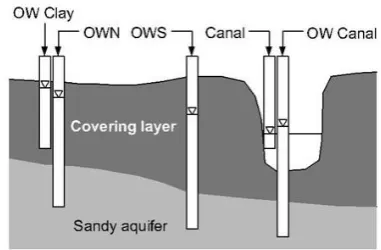 Fig. 2 for cross sections). The other ﬁve wells were installedat an experimental ﬁeld (approximately 3200 m2) that is sur-rounded by canals (Fig