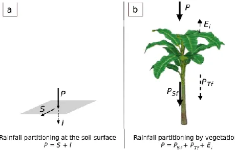 Fig. 1. Rainfall partitioning at the soil surface without vegetation(a) and rainfall partitioning under vegetation (b); with rainfall P ,runoff S, inﬁltration I, interception and evaporation Ei, stemﬂowPSf , and throughfall PTf .