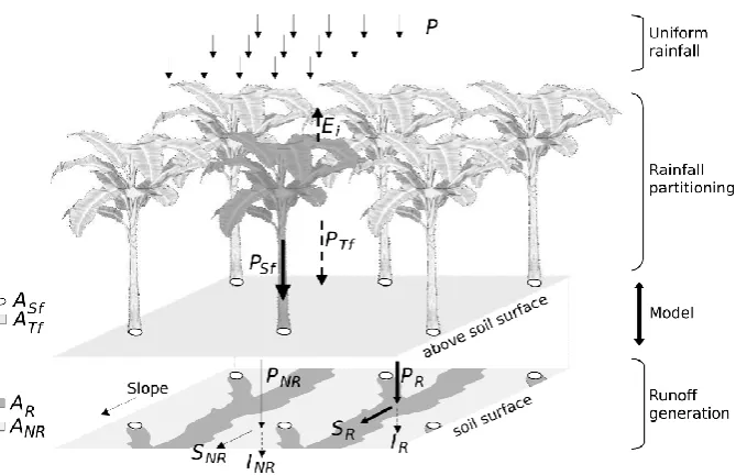 Fig. 2. Model structure without and with a stemﬂow function, coupled with a production function and a transfer function; withwhole plotAincident rainfall t the time, P reaching the plot of surface area A, the saturated hydraulic conductivity Ks, total runoff S and total inﬁltration I on the A, the simulated discharge QS at the outlet of the plot A, rainfall intensity PR and PNR, runoff SR and SNR on the area AR andNR; AR and ANR correspond to the runoff water pathway fed by stemﬂow (in dark grey color) and the rest of the plot (in light grey color),respectively.