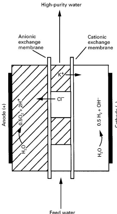 Figure 1Cationic and anionic IX resins are depicted ashatched and open areas, respectively