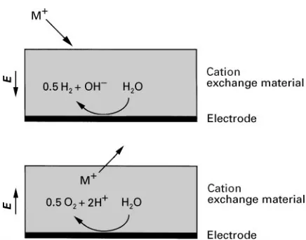 Figure 2Cation uptake (top) and elution (bottom) at the EIXelectrodes. Water reduction leads to production of hydroxyl ionsresulting in the de-protonation of sites in the cationic IX resin