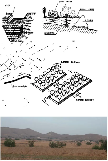 Fig. 2. Uppper: scheme of the Jessr components (a spillway, b sideview) (adapted from El Amami, 1984)