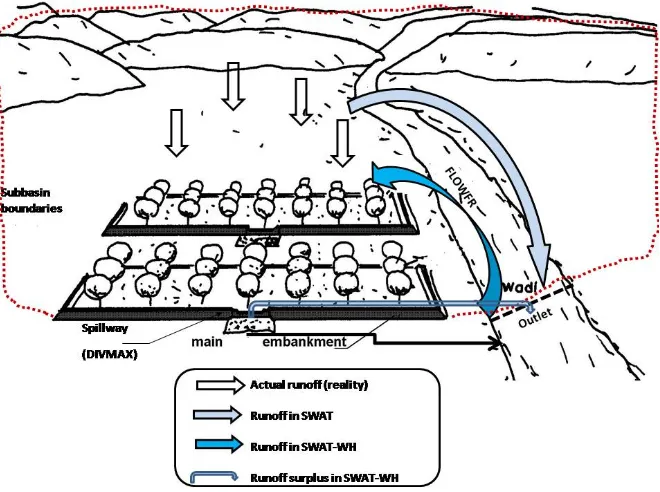 Fig. 4.  Schematic representation of the runoff routing in SWAT and SWAT-WH. DIVMAX: spillway height, FLOWFR: ﬂow fraction.