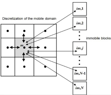Fig. 2. Hypothetical numerical discretization of the mobile and im-mobile domains.