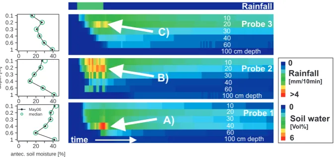 Fig. 8. Rainfall simulation with dye tracer at the locations of the soil moisture probes: amount of dye applied: 25 mm, intensity of application:8.3 mm/h
