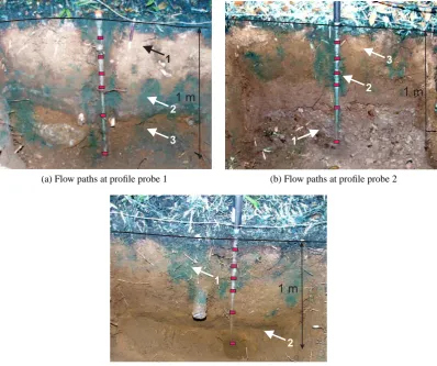Fig. 9. Flow path visualization at the locations of the three continuously logging proﬁle probes