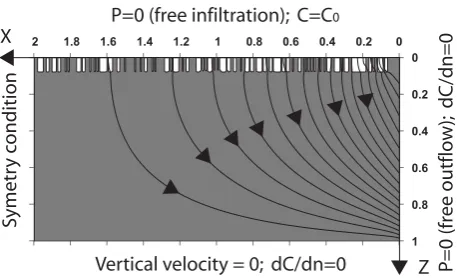 Fig. 1. Geometry and boundary conditions of our models. Initial(before dissolution) ﬂow lines are drawn