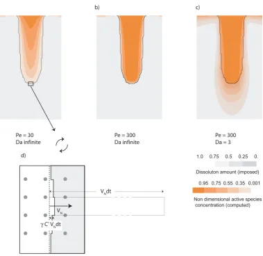 Fig. 2. Examples of ﬂow and concentration in a imposed ﬁnger-like porosity distribution, for differentthrough the interface, before it is signiﬁcantly advected by dissolution (from the straight dotted line to the broken heavy line) at theenlargement of the