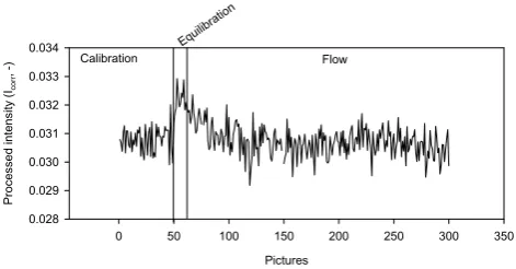Fig. 10. Mass balance analysis of E5 after 10 min and 45 min.