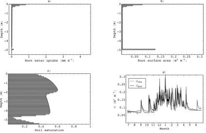 Fig. 5. Simulated below-ground conditions during the mid-wet season (200 days after model initialisation)