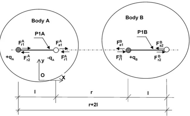 Figure 2. Forces F acting between a pair of identical oriented dipoles P1A and P1B con-sidered at atomic and nuclear level, from A and B bodies with xOy frame attached to A body
