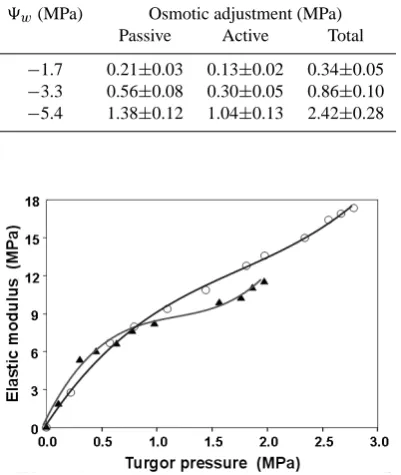 Table 3. Passive, active and total osmotic adjustment measuredhaving a similar value of pre-dawn leaf water potential (predawn in leaves of drought-stressed olive plants