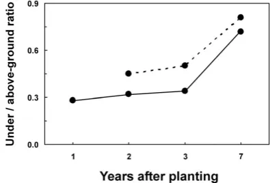 Fig. 5.Dry matter ratio between under- and above-ground treeparts in irrigated (solid line) and drought-stressed (dotted line) oliveplants.