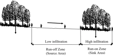 Figure 1: Schematic diagram of the effect of banded vegetation patterns on flow redistribution