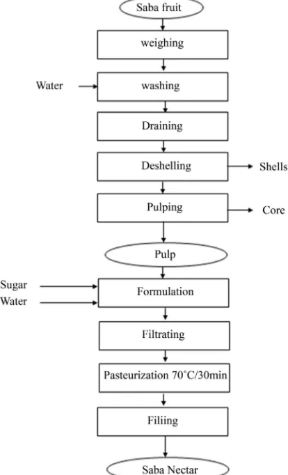 Figure 7. Production chart of nectar maad standardized by the Institute of Food Tech-nology (ITA) of Dakar