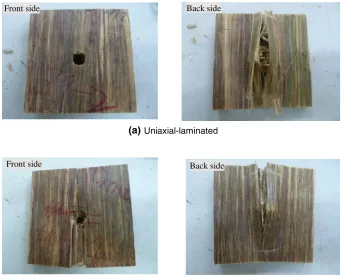 Fig. 4 Classic morphologies of
