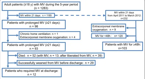 Fig. 1 Flow diagram of the study patients. MV, mechanical ventilation