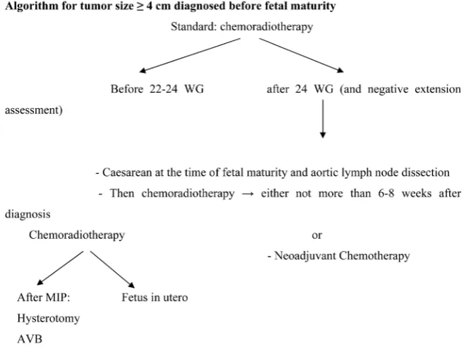 Figure 2. Algorithm for tumors of size ≥ 4 cm diagnosed before fetal maturity. WG: Week of gestation; MIP: Medical interruption of pregnancy; AVB: Vaginal delivery [42]