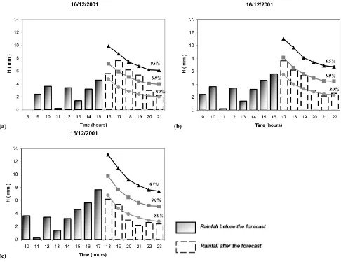 Fig. 8. Application of PRAISE Model relative to 16 December 2001, for the Catanzaro raingauge, starting from (a) 15:00 LT; (b) 16:00 LT;(c) 17:00 LT.