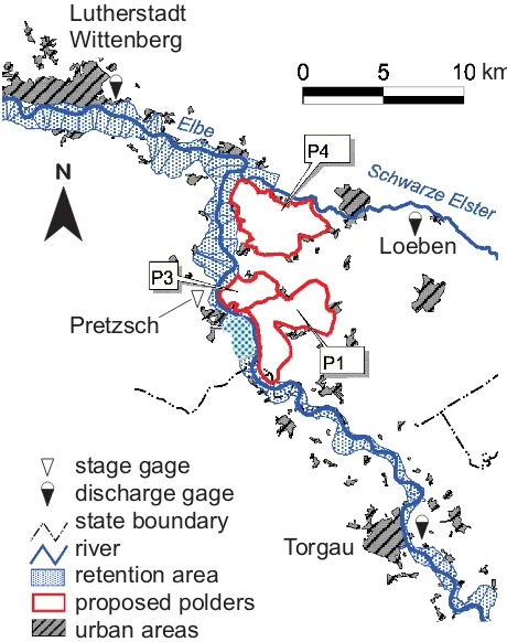 Fig. 2. Variants of polders that have been proposed to be constructedalong the middle reach of the Elbe River in Germany between Tor-gau and Lutherstadt Wittenberg (source: IWK, 2004).