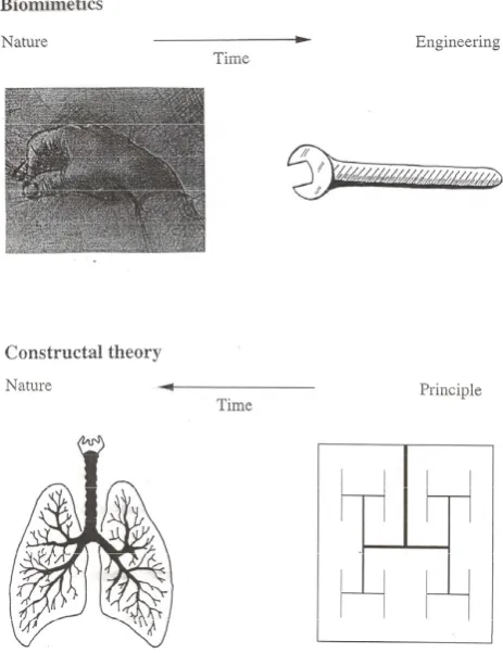 Fig. 2. Constructal theory proceeds in time against empiricism orcopying from nature (Bejan, 2000)
