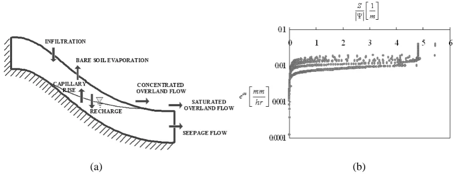 Fig. 4. (a)Figure 4. (a) Hillslope setting for developing closure relation for seepage flux, using CATFLOW simulation; and (b) the best candidate for the seepage flux closure relation where e Hillslope setting for developing closure relation for seepage ﬂux, using CATFLOW simulation; andos, S, and Ψ  are seepage outflow,  (b) the best candidate for theseepage ﬂux closure relation where eos, S, and |�| are seepage outﬂow, saturation degree over the entire volume of soil, and the averagematric potential head of the soil over the entire unsaturated zone.