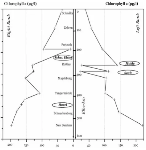 Fig. 1. Chl a longitudinal section of the Elbe sampling survey fromSchmilka to Neu Darchau dated 3–11 September 1998.