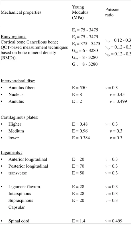 Figure 2. (a) The meshed geometry of L1; (b) Geometry of the nucleus and annulus; (c) The spinal cord fitted in the medullar canal