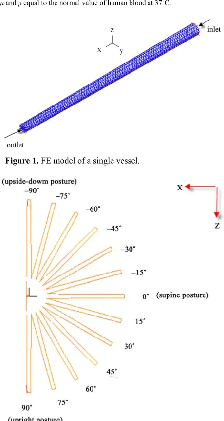 Figure 1. FE model of a single vessel. 
