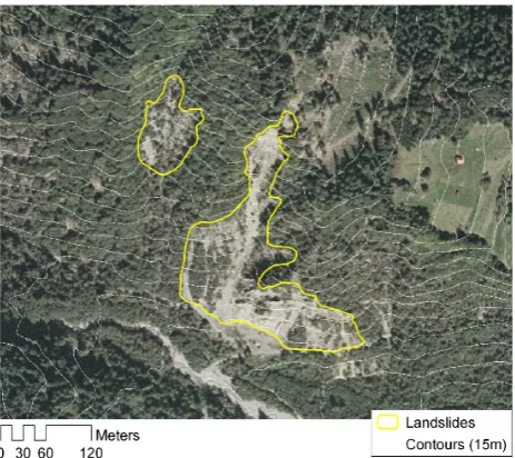 Fig. 3. Miozza basin landslide scars identiﬁed from aerial photog-raphy: illustration of a landslide complex.