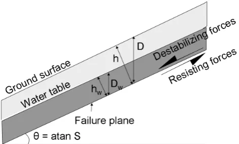 Fig. 6. Inﬁnite slope stability model schematic.