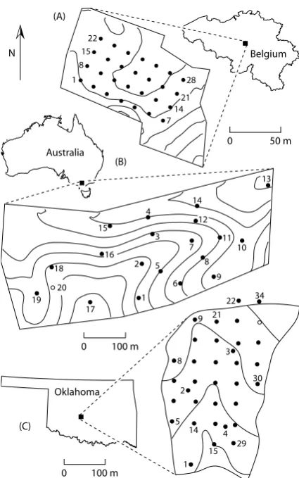 Fig. 1.Location of the study areas and observation sites.(2 m interval contour lines),For Louvain-la-Neuve and R-5 the numbering of sites is continu-ous along rows