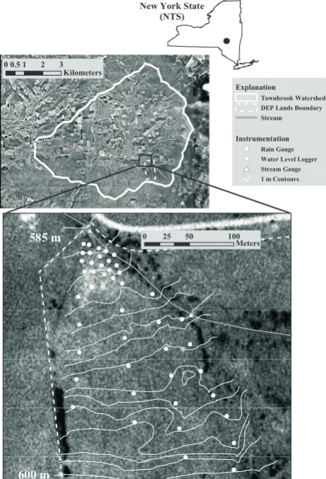 Fig. 1. Location of study site at Townbrook research watershed inCatskill Mountain region of New York State showing positions ofsampling locations containing water level loggers (circles), streamgauges (triangles), and rain gauge (square).