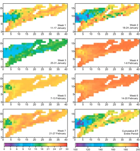 Fig. 4. Spatial distribution of cumulative evapotranspiration (mm)for individual weeks (left colour bar) and for the entire study period(right colour bar)