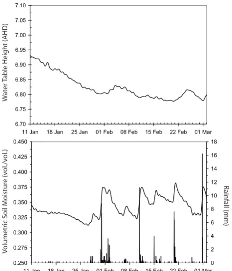 Fig. 6. Water table depth measured from ground level (top) anddaily rainfall and soil moisture trends (bottom) at the central ﬁeldsite