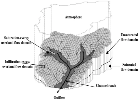 Fig. 1. A 3-D view of the volume comprising a single REW (modi-ﬁed from Reggiani and Schellekens, 2003).