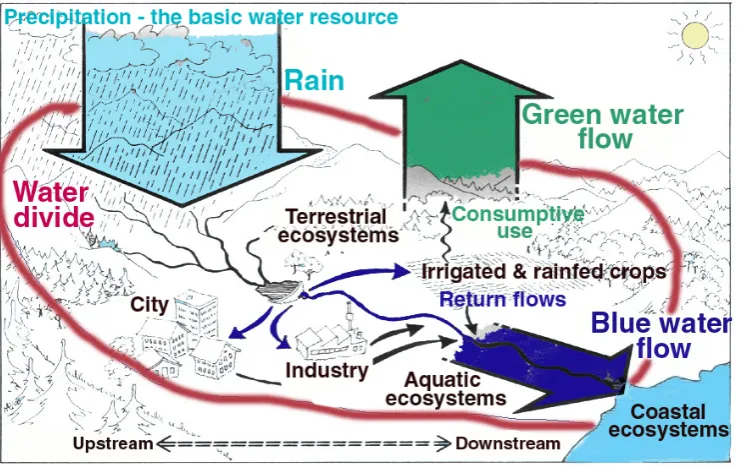 Fig. 1. In a drainage basin perspective, the precipitation over the area represents the proper water resource, part of which is consumed inFig