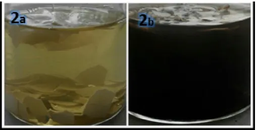 Fig. 1.  Colour change in reaction mixture at 0 hours. (a) Control-ESM+ 5ml O.sanctum extract+45ml D/W water