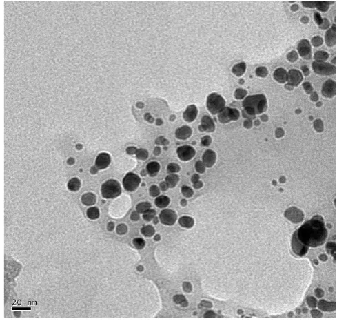 Fig. 3. UV-Vis spectrum image showing peak at 469 nm indicates the formation of AgNPs by aqueous extract of O
